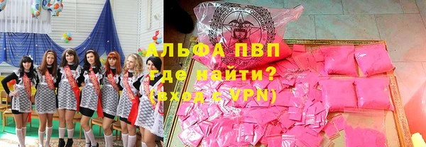 индика Волосово