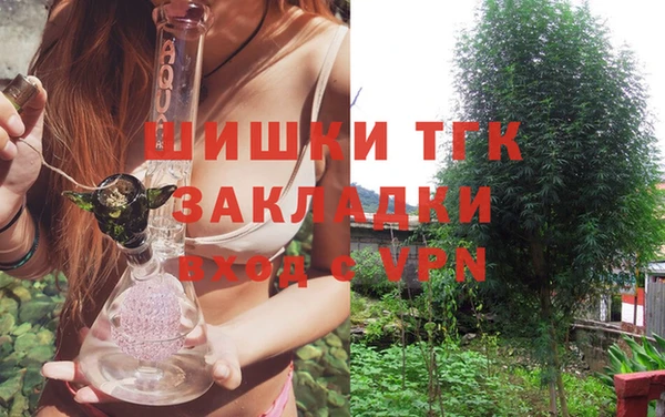 индика Волосово