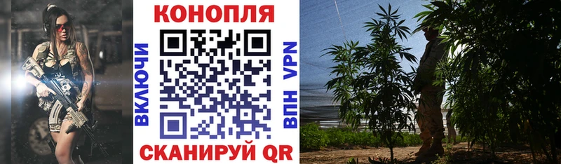 Канабис Bruce Banner  Сольвычегодск 